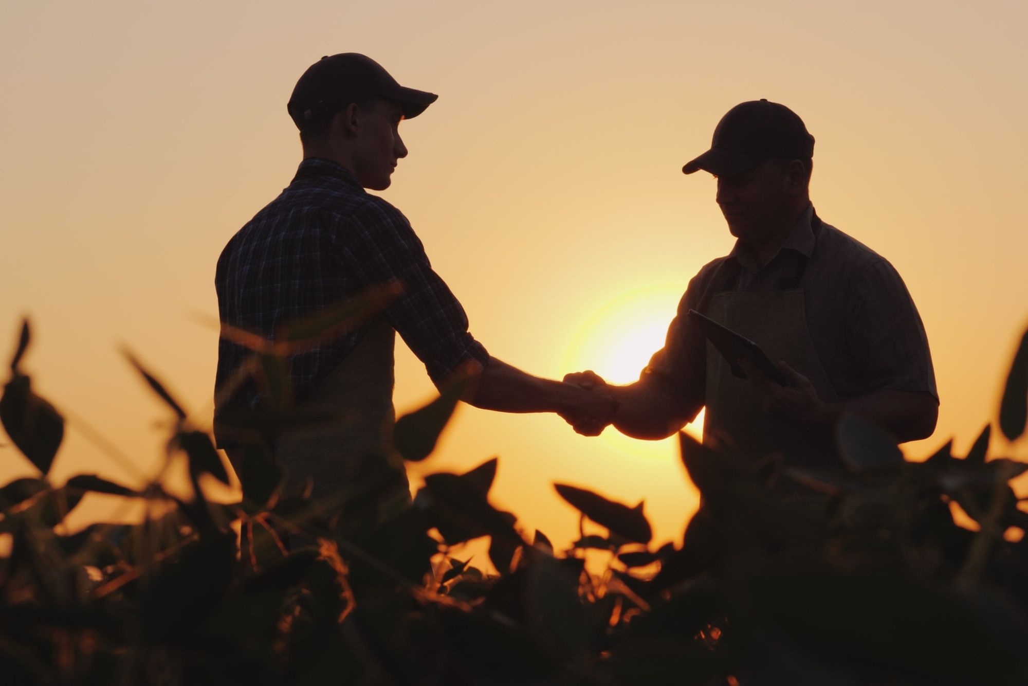 Aqua Agri x Excelessens : une collaboration au service du vivant